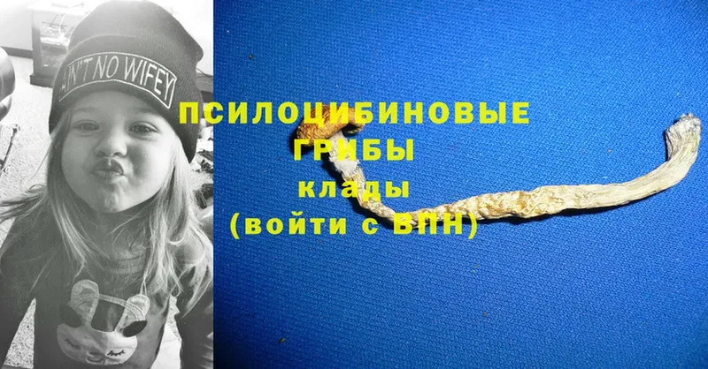 Псилоцибиновые грибы Magic Shrooms  Камешково 