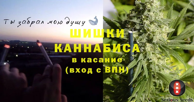 как найти наркотики  Камешково  Шишки марихуана OG Kush 